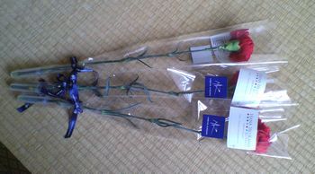 200905117.JPG