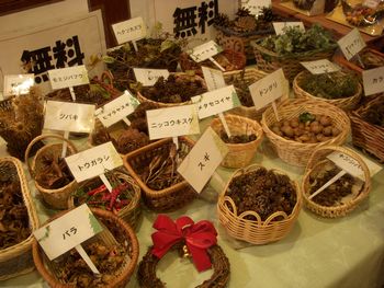 200911022.JPG