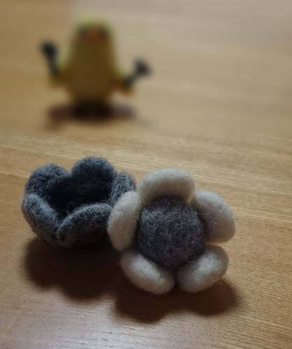 20150209_174050.jpg