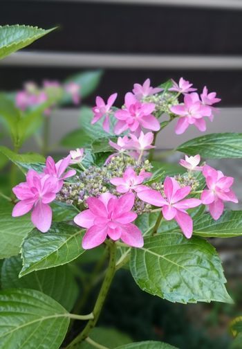 20150603_184655.jpg