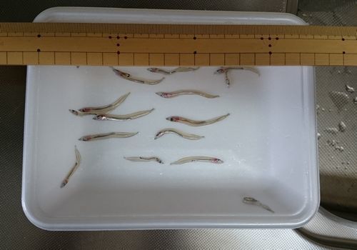 DSC_0394.jpg