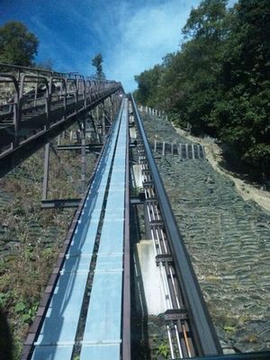 DVC00336.jpg